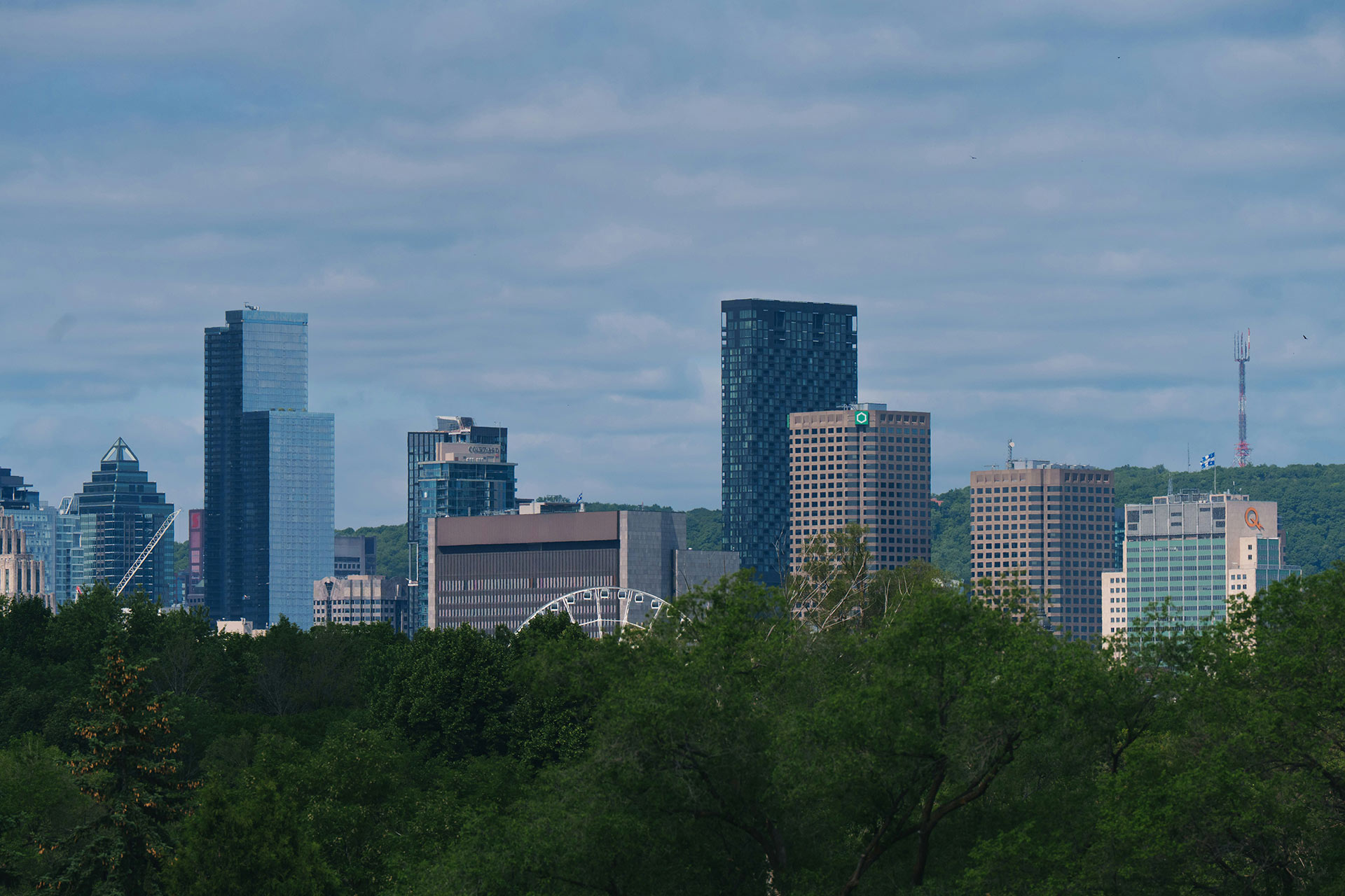 Ideas Wild Desarrolladora